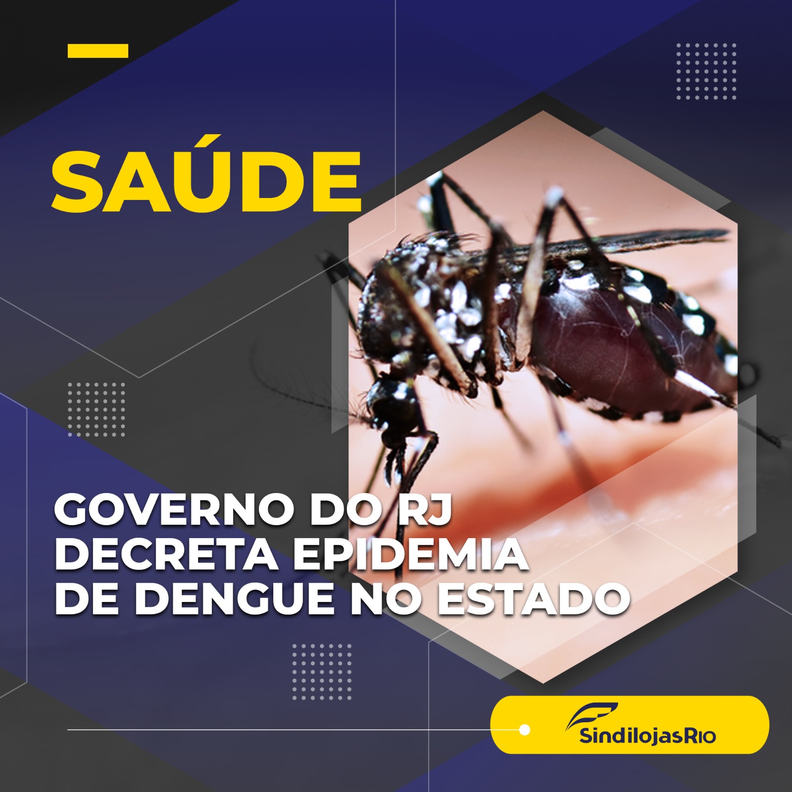 Leia mais sobre o artigo Utilidade Pública – Governo do RJ decreta epidemia de dengue no estado