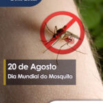 Saúde e Bem-Estar | 20 de Agosto – Dia Mundial do Mosquito