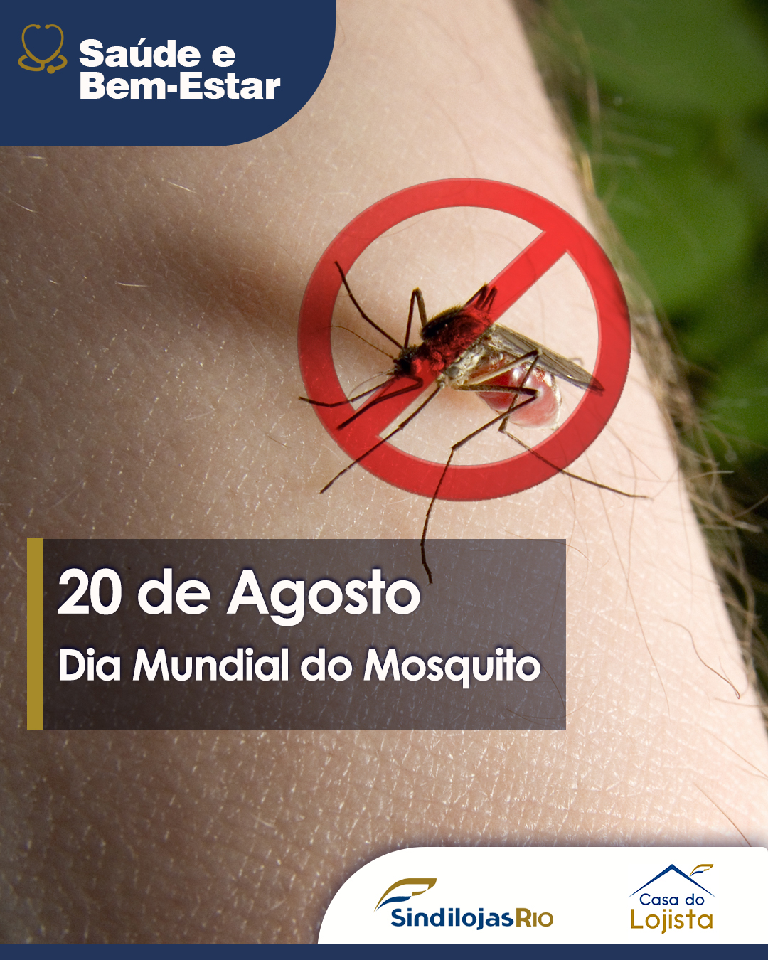 No momento, você está visualizando Saúde e Bem-Estar | 20 de Agosto – Dia Mundial do Mosquito